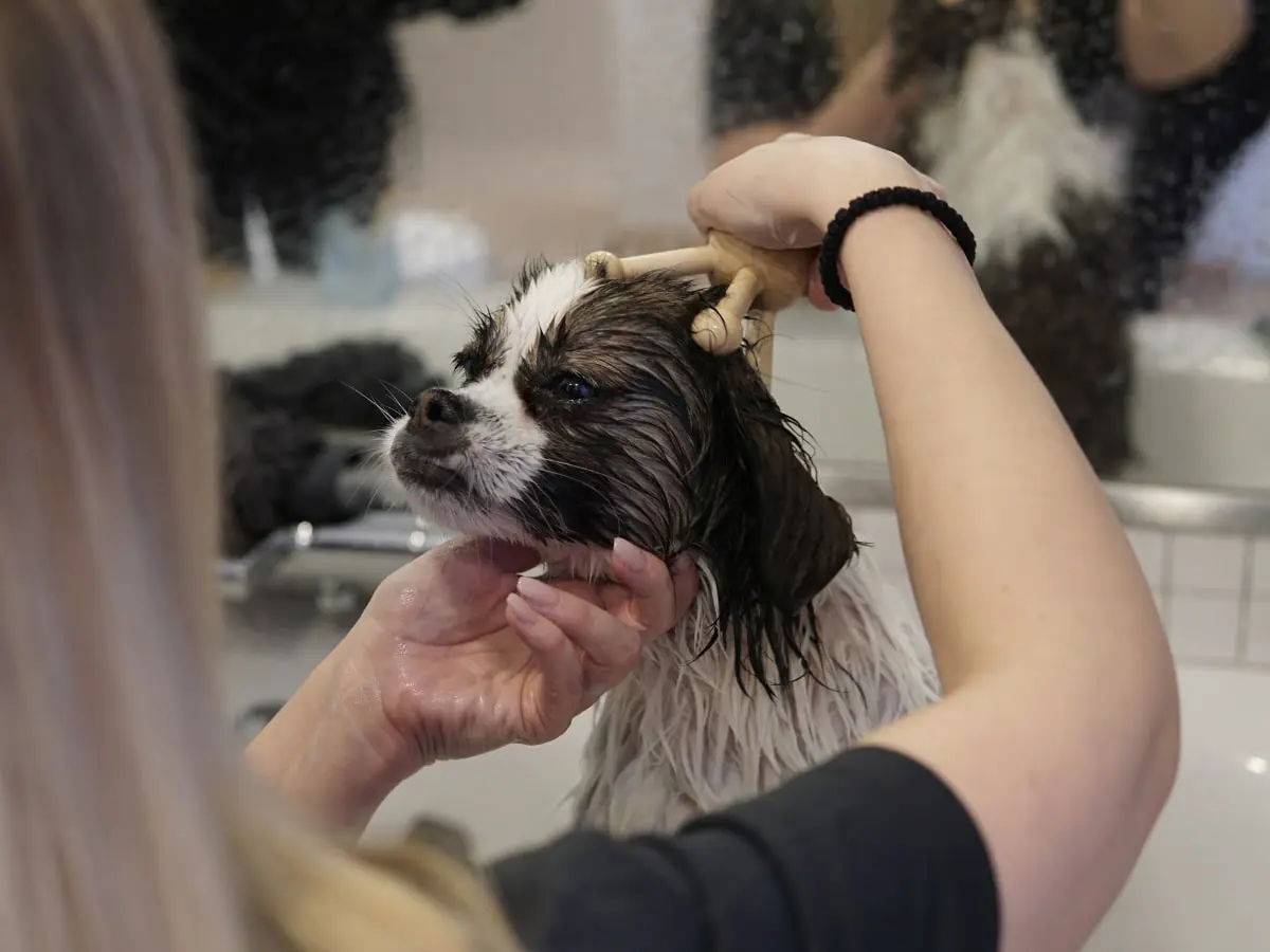 L'heure du bain