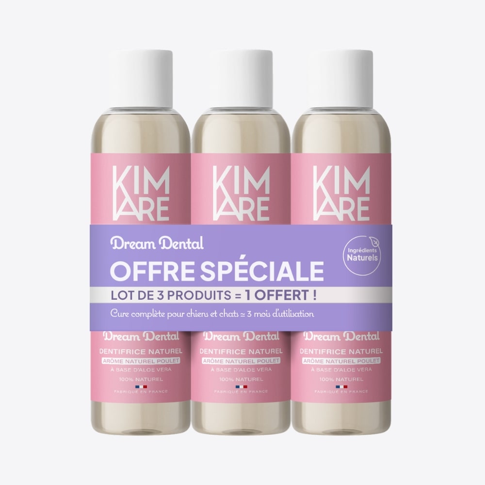 DREAM Dental Clean - Offre 3 flacons